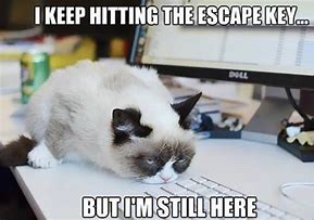 Image result for Escaping Work Meme