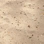 Image result for Beach Sand Texture