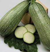 Image result for Zucchini Squash