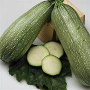 Image result for Grey Zucchini Squash