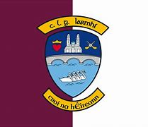 Image result for Westmeath GAA