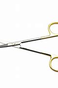Image result for Dissecting Scissors