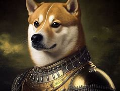 Image result for Doge Meme Illustration
