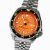 Image result for Dive Watches for Men