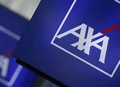 Image result for axa�onear