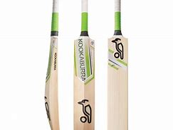 Image result for Cricket Bat Designs