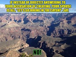 Image result for Canyon Brain Meme