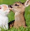 Image result for Community Animals