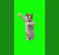 Image result for Happy Dance Cat Meme