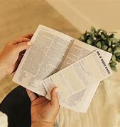 Image result for Daily Book of Mormon Reading Chart