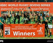 Image result for South African Rugby Memes