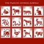 Image result for Chinese Zodiac Signs and Elements