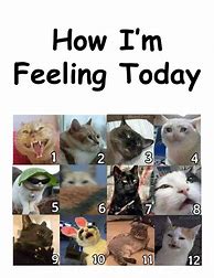 Image result for How Are We Feeling Today. Meme