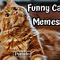 Image result for Cat Breed Meme