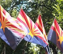 Image result for Arizona State Flag Gray