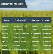 Image result for cena psenice na novosadskoj berzi