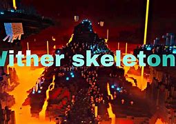 Image result for A Wither Skeleton