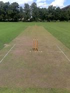 Image result for Turf Cricket Pitch