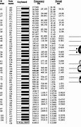 Image result for D Note On Piano