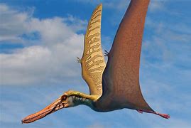 Image result for Pterodactyl Dinosaur
