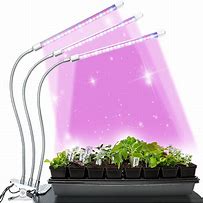 Image result for Small LED Grow Lights
