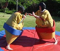 Image result for Sumo Fight