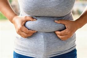 Image result for Fat Stomach