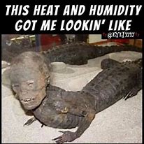Image result for This Heat Got Me Like Memes