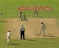 Image result for Cricket Bowling Bouncer GIF