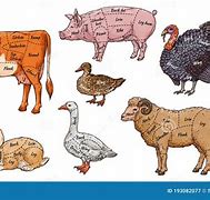 Image result for Spam Meat From Animals