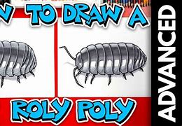 Image result for Roly Poly Bug Diagram