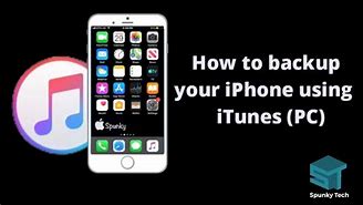 Image result for iPhone Backup Contents