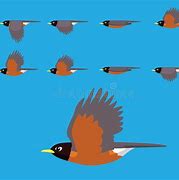 Image result for Animated Birds Flying