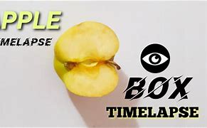Image result for Time-Lapse Apple