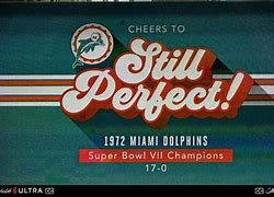 Image result for Miami Dolphins Undefeated Season
