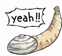 Image result for Clam Vector