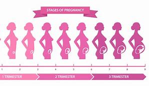 Image result for Pregnant Progress Bar
