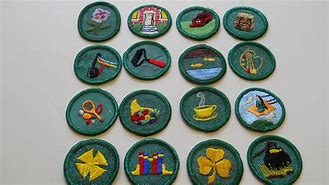 Image result for Vintage Girl Scout Badges