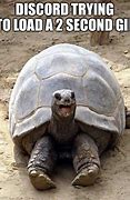 Image result for Tortoise Shock Meme