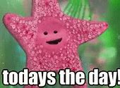 Image result for Today Is the Day Meme