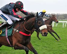 Image result for 2 Horses Racing