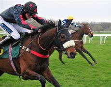 Image result for Tom Ainslie Horse Racing