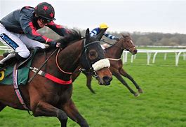 Image result for Ascot Horse Racing Scenes
