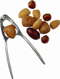 Image result for Dry Fruits PNG