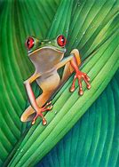 Image result for Amazing Frog Drawing