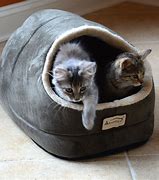 Image result for cats bed