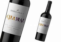 Image result for chamal