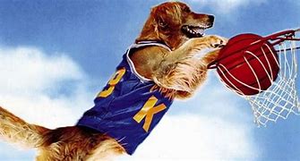 Image result for Air Bud Basketball