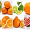 Image result for Orange Colored Fruit Names
