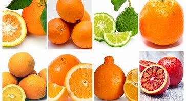 Image result for Different Types of Orange Fruit